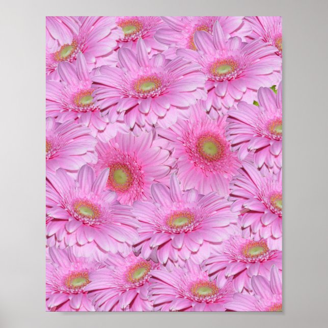 Poster Aglomerado Rosa De Gerbera Flor, (Frente)