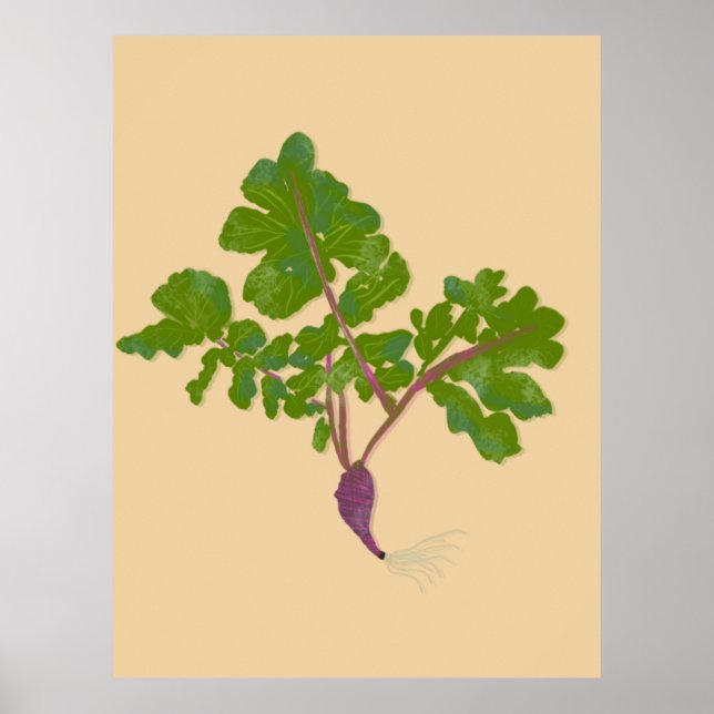 Poster Agricultor Nabo de Cenoura Plantas Jardinagem (Frente)