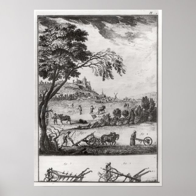 Póster Agricultura (Frente)