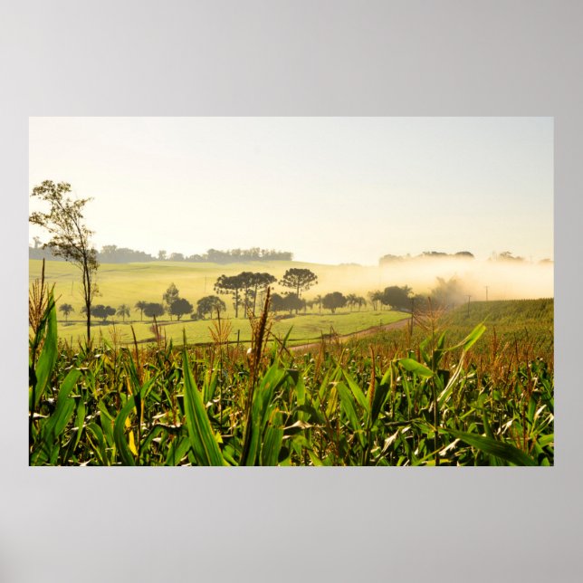 Poster Agricultura Brasil (Frente)