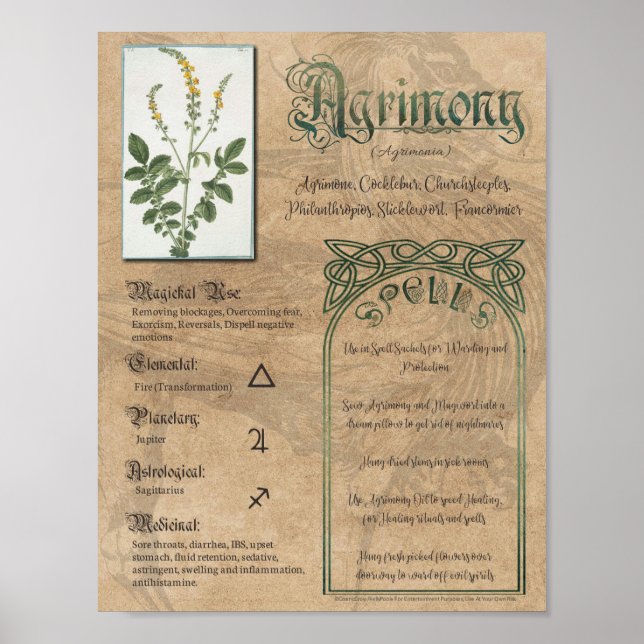 Poster Agrimony Herbal Book of Shadows Pagan Wiccan (Frente)