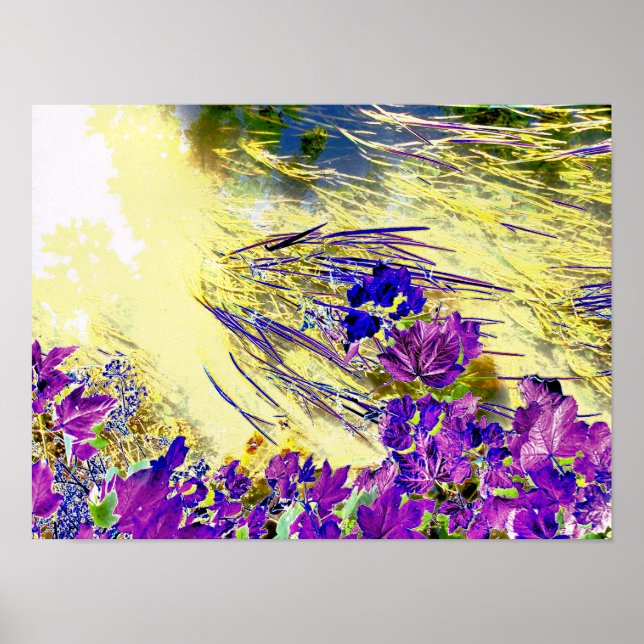 POSTER ÁGUA (Frente)