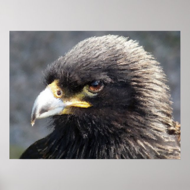 PÓSTER ÁGUA (Frente)