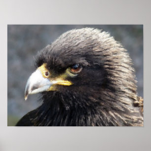 PÓSTER ÁGUA
