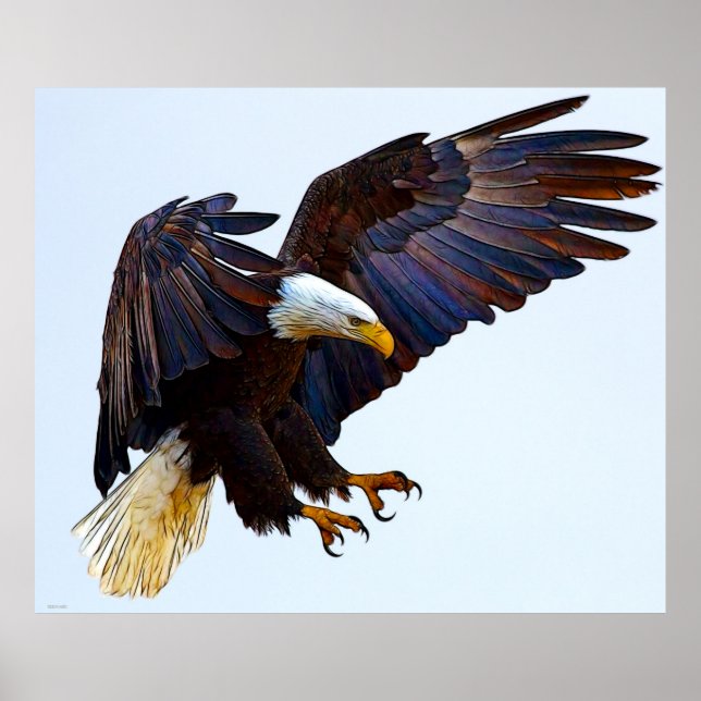 POSTER ÁGUA (Frente)