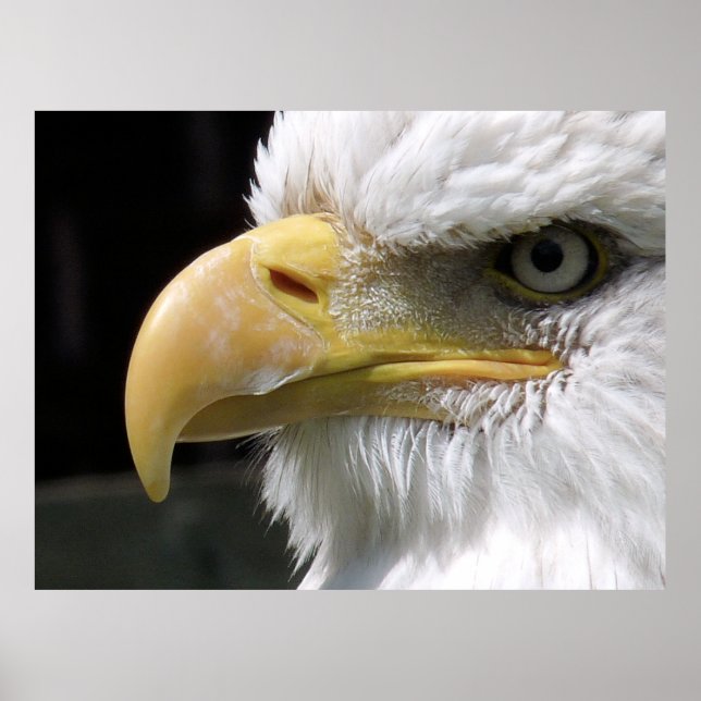 POSTER ÁGUA ÁGUA DE PRESA (Frente)