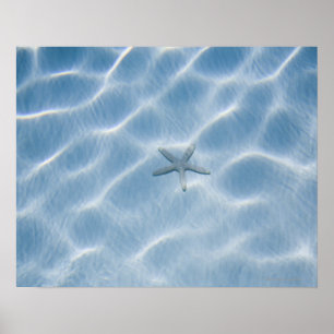 Póster Água azul Rippled com estrela do mar