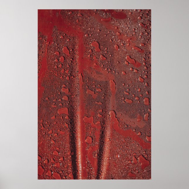 Poster Água cai no capô vermelho (Frente)