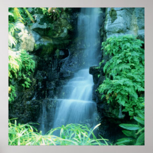 PÓSTER ÁGUA CAIR NO JARDIM SHAWS