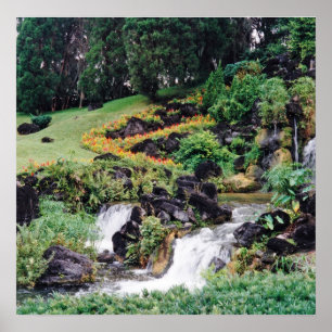 Poster Água de cura