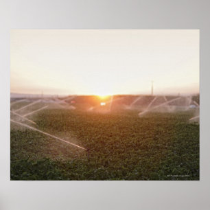 Póster Agua do sistema de irrigação agrícola