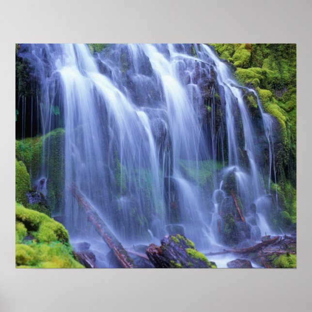 Poster Água doce da primavera fluindo sobre musgo (Frente)