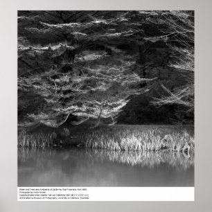 Póster Água e Árvores perto de UC San Francisco, 1966