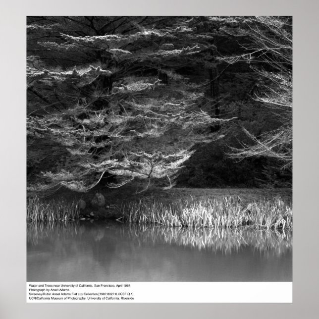 Póster Água e Árvores perto de UC San Francisco, 1966 (Frente)
