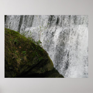 Póster Água e terra