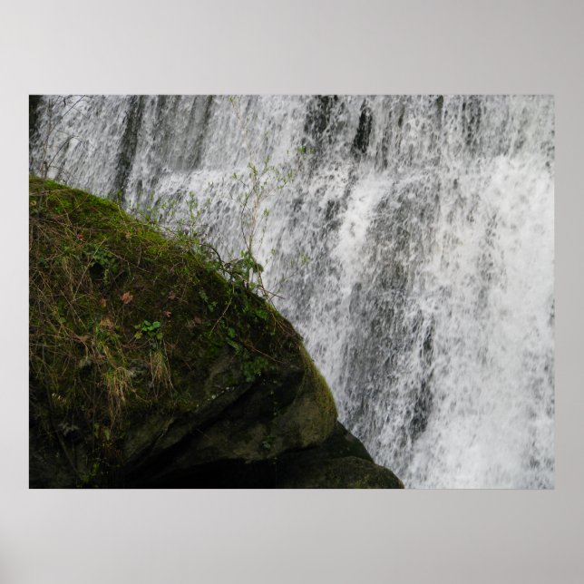 Póster Água e Terra (Frente)