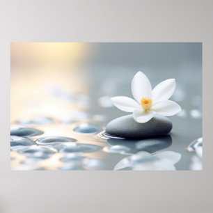 Poster Água Flor Quebra Natureza Serena Tranquil