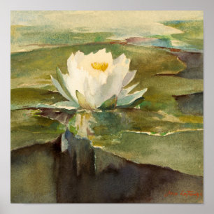Poster Água Lily à Luz do Sol John La Farge