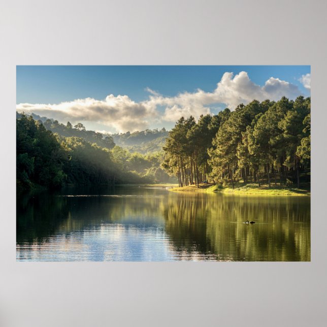 Poster Água | Pang Oung Lake & Pine Forest Thailand (Frente)