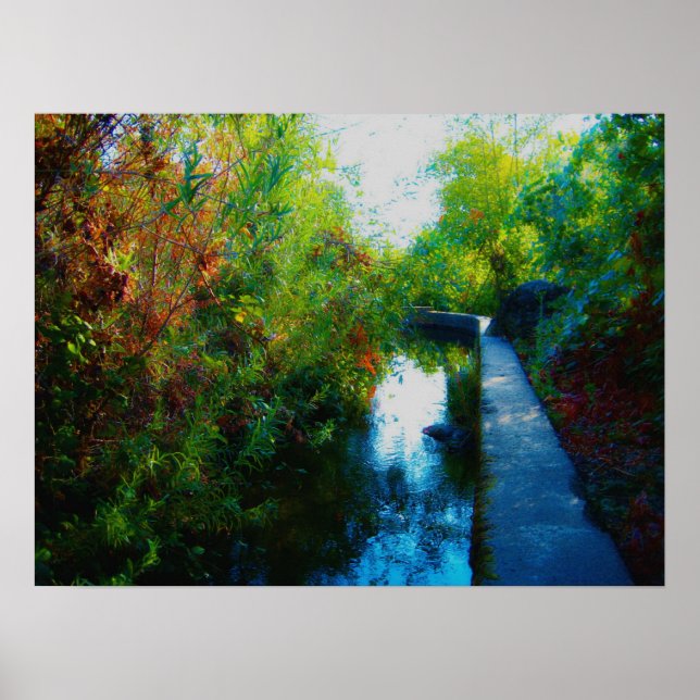 Póster Água Pintada (Frente)