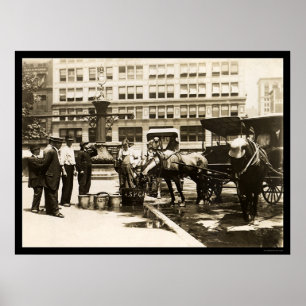 Póster Água potável dos cavalos na Nova Iorque 1911