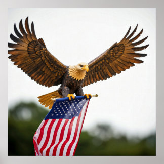 POSTER ÁGUA REAL BALD VOANDO COM BANDEIRA AMERICANA