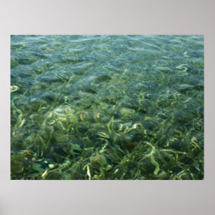 Póster Água sobre Grama Marinha I Natureza Caribenha