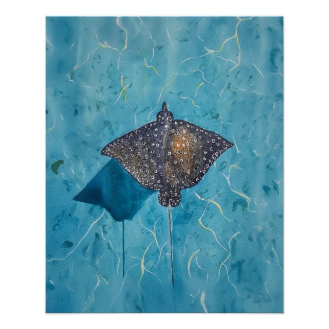 Póster Água-viva Águia Manchada - Oceano (Frente)