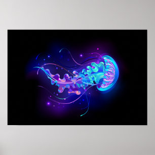 Poster Água-viva brilhante a cores