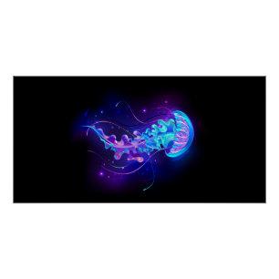 Póster Água-viva brilhante a cores