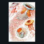 Poster Água-viva, Disco de Ernst Haeckel<br><div class="desc">Água-viva, Disco Scheibenquallen por Ernst Haeckel Poster</div>