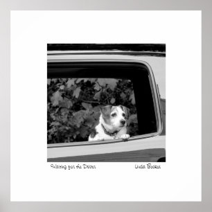 Poster Aguardando a fotografia do motorista de Linda Beck