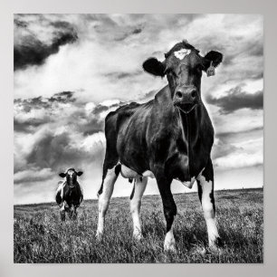 Poster Aguardando Recorte BW