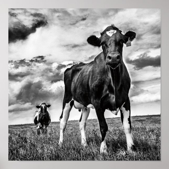 Poster Aguardando Recorte BW (Frente)