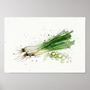 Poster Aguarela, arte vegetal da cozinha dos alho-porros