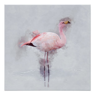 Póster Aguarela cor-de-rosa do flamingo