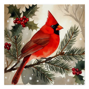 Póster Aguarela de Cardinal em Galho de Pinheiro Nevado N