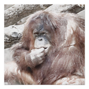 Póster Aguarela Orang 2