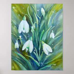 Póster Aguarela que pinta Snowdrops