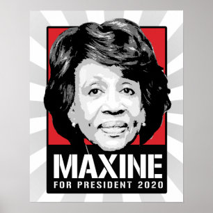 Póster Águas de Maxine para o presidente 2020 -