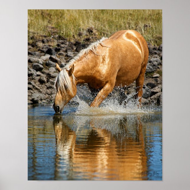 Poster Águas Palomino (Frente)