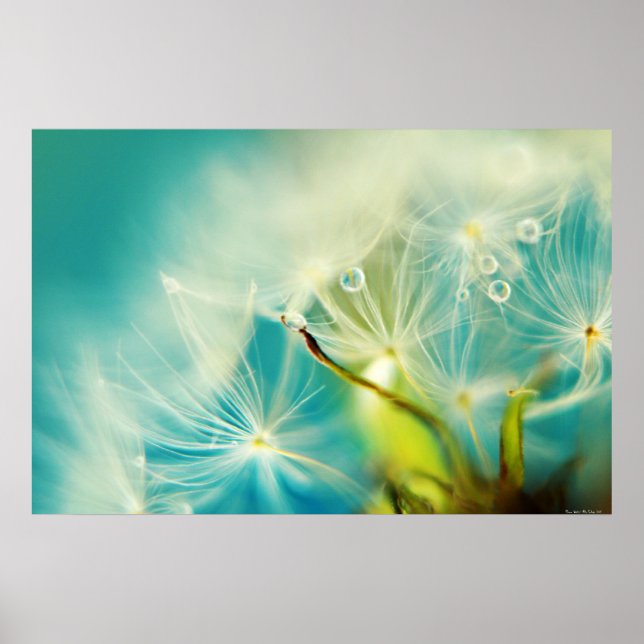 Póster Águas para Baixo (Frente)