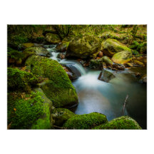 Águas Tranquilas de Wicklow