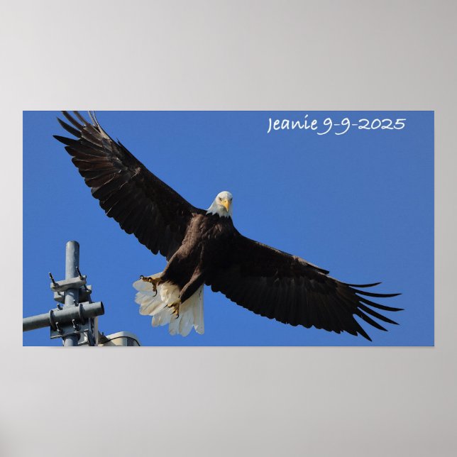 Poster Águia (Frente)