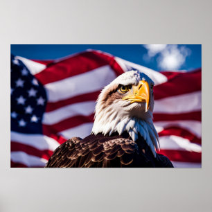 Poster Águia Americana