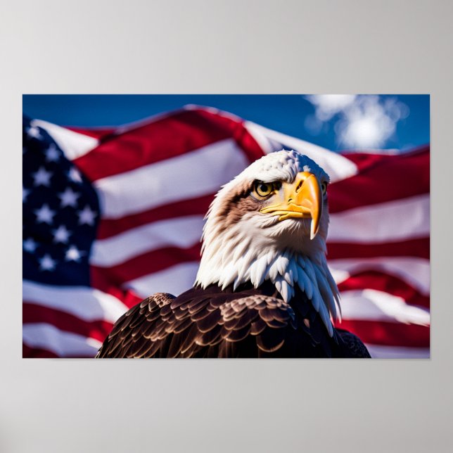 Poster Águia Americana (Frente)