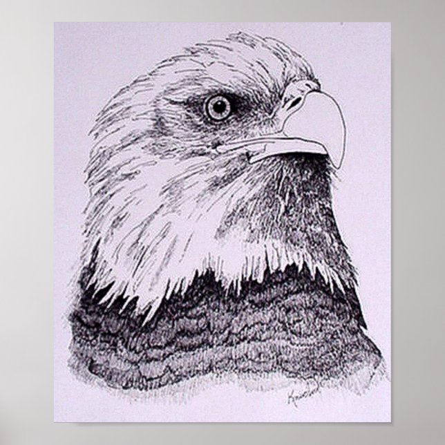 Póster Águia Americana (Frente)