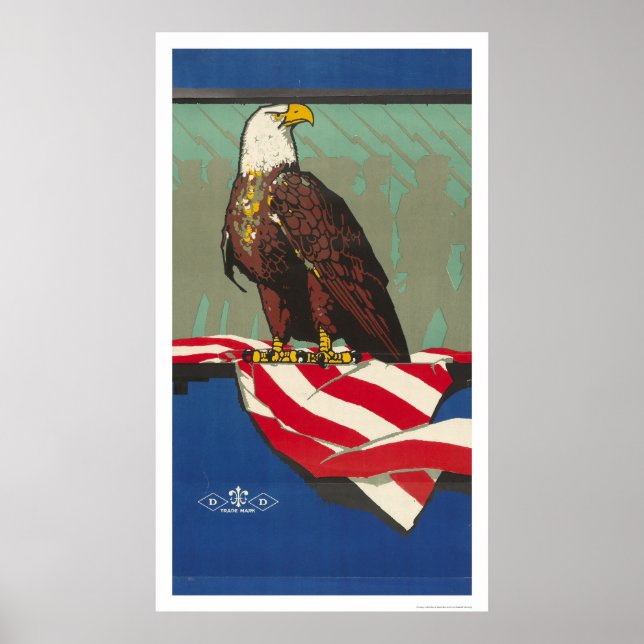 Poster Águia Americana (Frente)