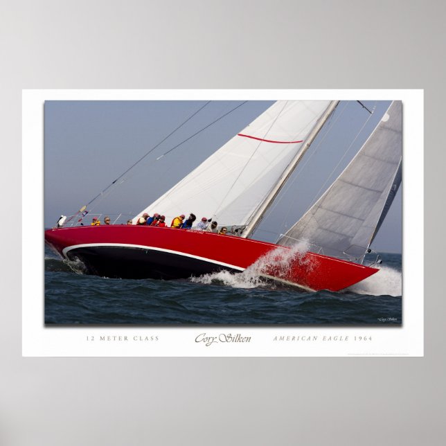 Poster Águia Americana (Frente)