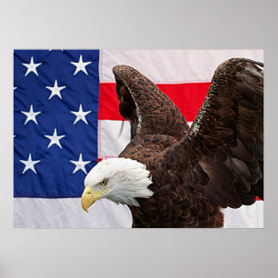 Póster Águia americana com a bandeira americana